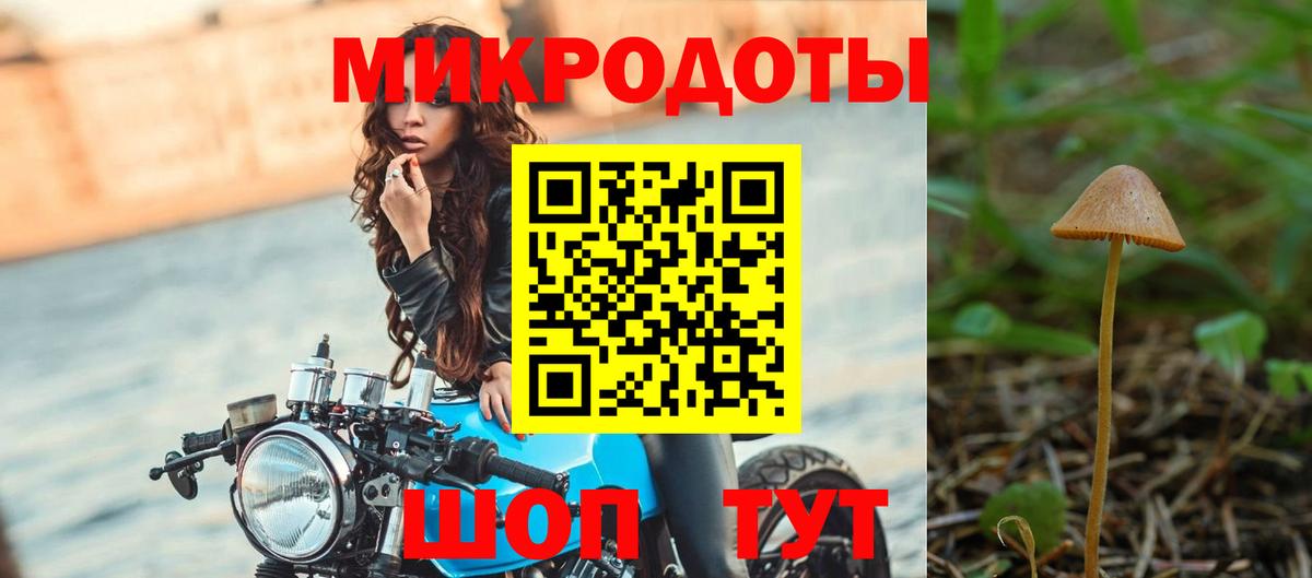 Галлюциногенные грибы Psilocybine cubensis  Вход с VPN  Рассказово 